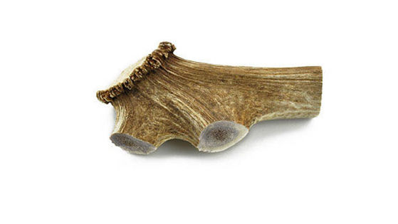 Εικόνα της Cervus Elaphus Κέρατο Ελαφιού  Natural Gigant 180-240gr