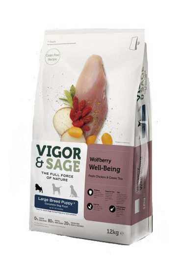 Εικόνα της Vigor & Sage Wolfberry Well-Being Large Breed Puppy 12kg