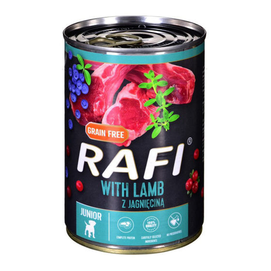 Εικόνα της Rafi Adult Grain Free Με Αρνί 400gr