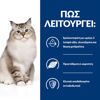 Εικόνα της Hill`s Prescription Diet j/d Feline Original 1,5kg