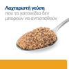 Εικόνα της Hill's Prescription Diet c/d Multicare Feline with Chicken 156gr