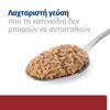 Εικόνα της Hill's Prescription Diet i/d Feline with Chicken 156gr