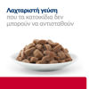 Εικόνα της Hill`s Prescription Diet c/d Feline Urinary Stress Κοτόπουλο 85gr