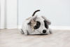 Εικόνα της Trixie Φωλιά Γάτας Junior Lukas (35x35x65cm)