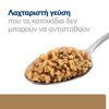 Εικόνα της Hill's Prescription Diet j/d Joint Care για Σκύλους με Αρνί 370gr