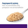 Εικόνα της Hill's Prescription Diet u/d Urinary Care για Σκύλους 370gr