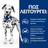 Εικόνα της Hill's Prescription Diet u/d Urinary Care 4kg