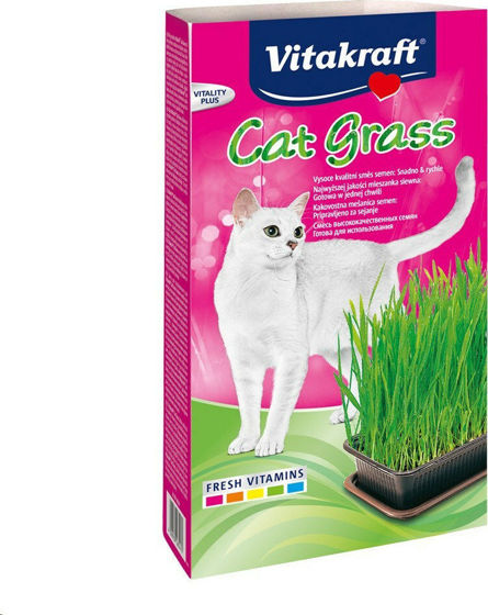 Εικόνα της Vitakraft Σπόροι Γρασιδιού Για Γάτες 120gr