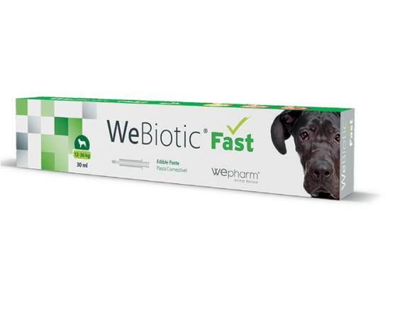 Εικόνα της Wepharm Webiotic Fast Medium Breed Διατροφικό Συμπλήρωμα με Προβιοτικά Για Σκύλους 12-36kg (30ml)