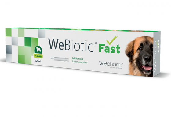 Εικόνα της Wepharm Webiotic Fast Large Breed Διατροφικό Συμπλήρωμα με Προβιοτικά Για Σκύλους >36kg (60ml)