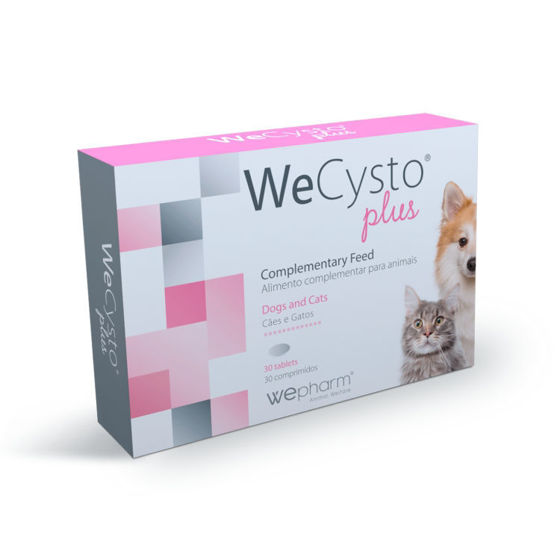 Εικόνα της Wepharm WeCysto Plus Υποστήριξη Ουροποιητικού 30tbs