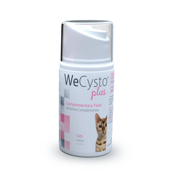 Εικόνα της Wepharm WeCysto Plus Υποστήριξη Ουροποιητικού 50ml