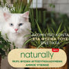 Εικόνα της Everclean Naturally 10L