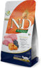 Εικόνα της N&D Adult Pumpkin, Lamb & Blueberry 300gr