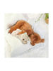 Εικόνα της All For Paws Παιχνίδι Σκύλου Little Buddy Warm Bear 38cm