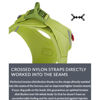 Εικόνα της Curli Σαμαράκι Σκύλου Air-Mesh Guacamole