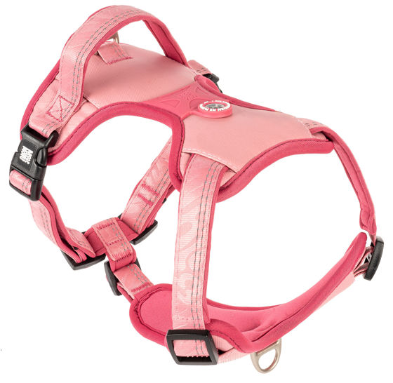 Εικόνα της Max & Molly Σαμαράκι Matrix 2.0 Sport Rose