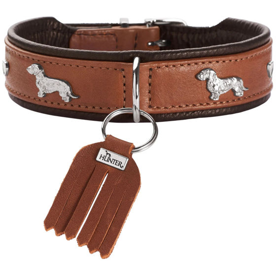 Εικόνα της Hunter Δερμάτινο Περιλαίμιο Teckel-Halsband Καφέ
