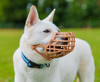Εικόνα της Baskerville Classic Basket Muzzle