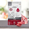 Εικόνα της Platinum Μαγειρευτή Ξηρά Τροφή Mini Adult Αρνί & Ρύζι 1,5kg