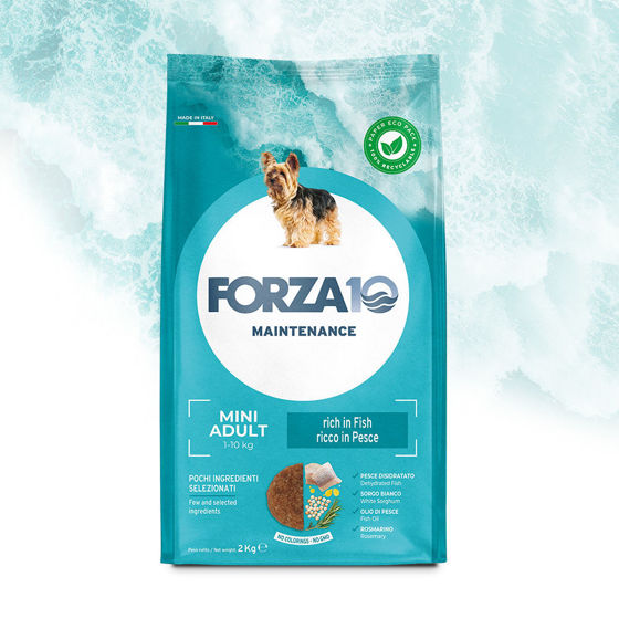 Εικόνα της Forza10 Maintenance Adult Mini Ψάρι 4kg