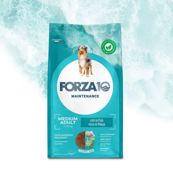 Εικόνα της Forza10 Maintenance Adult Medium Ψάρι 12kg