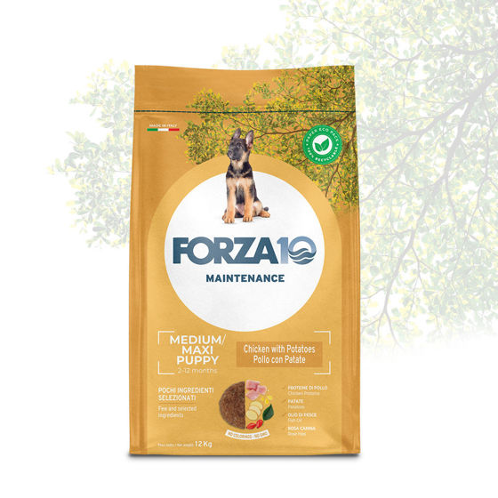 Εικόνα της Forza10 Maintenance Junior Medium & Maxi Κοτόπουλο & Πατάτες 12kg