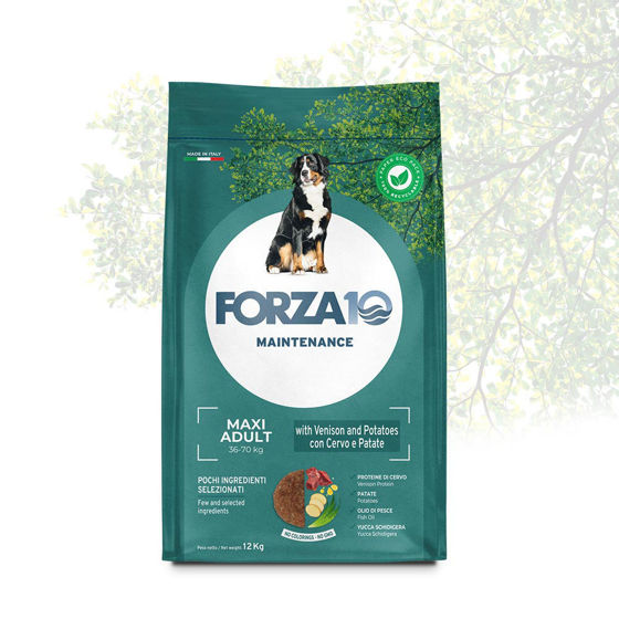 Εικόνα της Forza10 Maintenance Adult Maxi Ελάφι & Πατάτα 12kg