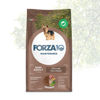 Εικόνα της Forza10 Maintenance Adult Mini Αρνί & Ρύζι 2kg