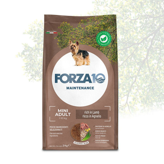 Εικόνα της Forza10 Maintenance Adult Mini Αρνί & Ρύζι 2kg