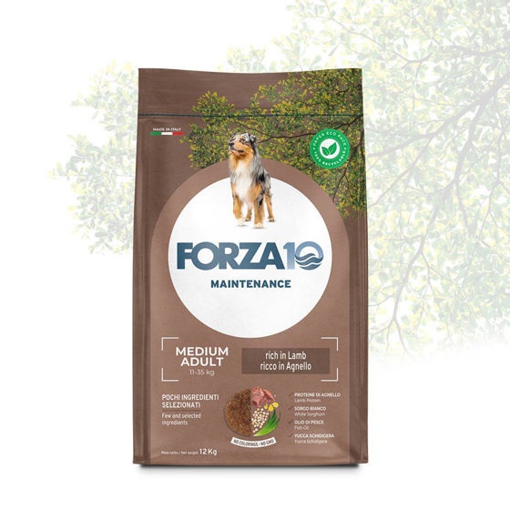 Εικόνα της Forza10 Maintenance Adult Medium Αρνί & Ρύζι 12kg
