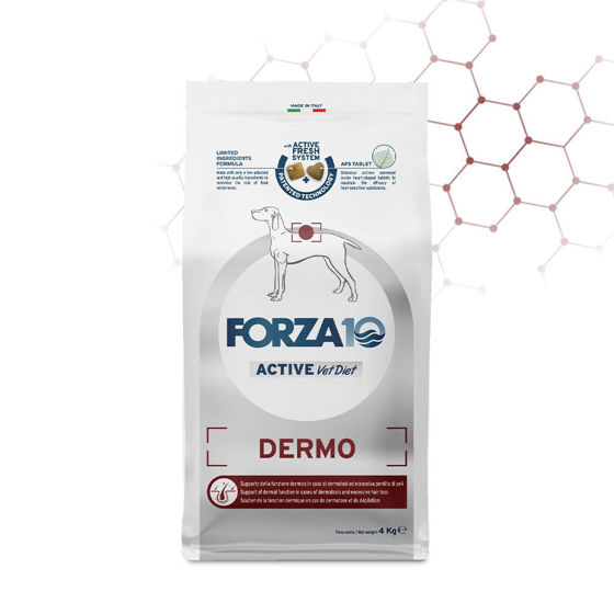 Εικόνα της Forza10 Active Line Adult Dermo 4kg
