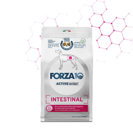 Εικόνα της Forza10 Active Line Intestinal (Γαστρεντερικό) 4kg