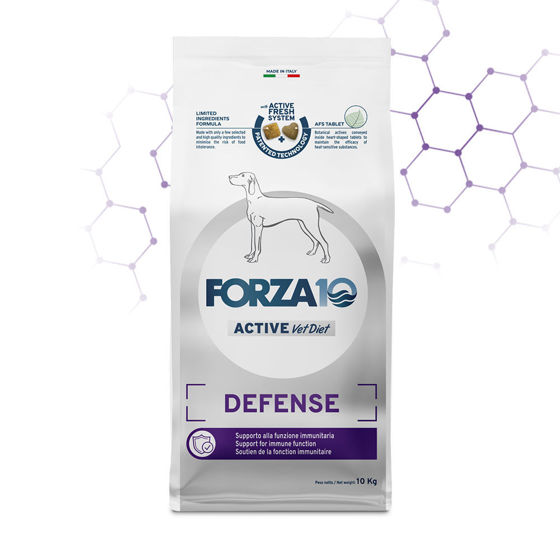 Εικόνα της Forza10 Active Line Defense (Ανοσοποιητικό, Λεισμανίωση) 10kg
