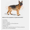 Εικόνα της Arden Grange Ξηρή Τροφή Σκύλου Vet Care Gastrointestinal 12kg