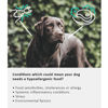 Εικόνα της Arden Grange Ξηρή Τροφή Σκύλου Vet Care Hypoallergenic 2kg
