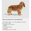 Εικόνα της Arden Grange Grain Ξηρή Τροφή Σκύλου Vet Care Weight Control 2kg