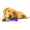 Εικόνα της Nylabone Puppy Pacifier Teething Toy