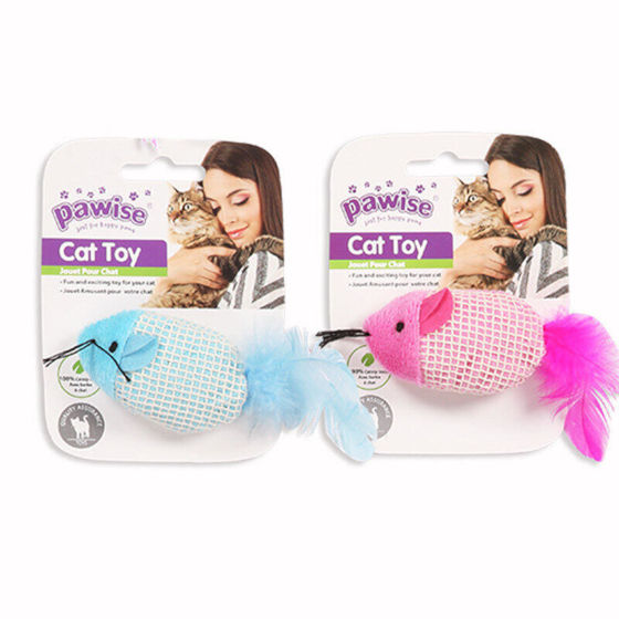 Εικόνα της Pawise Catnip Mouse Plush