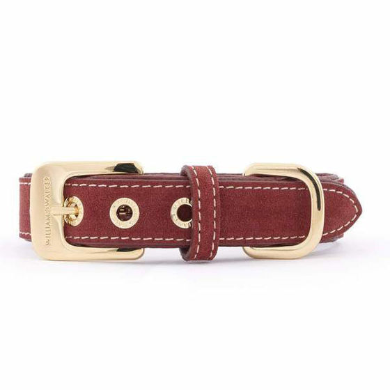 Εικόνα της William Walker Περιλάιμιο Σκύλου Lambrusco XLarge (50-59cm)