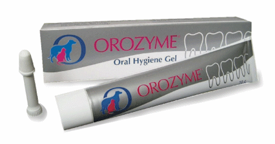 Εικόνα της Orozyme Oral Hygiene Gel 70gr