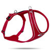 Εικόνα της Curli Σαμαράκι Σκύλου Belka Comfort Κόκκινο XLarge (Περίμετρος Στέρνου 76-82cm)