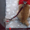 Εικόνα της Curli Ζώνη Ασφαλείας Αμαξιού Για Σκύλους