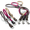 Picture of Hunter Dog`s Training Collar Freestyle