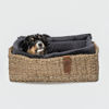Picture of Cloud7 Dog Basket Hideaway Cotton Plum