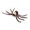 Εικόνα της AFP Παιχνίδι Γάτας Lambswool Ping Pong Spider (14x9x4cm)