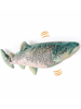 Εικόνα της All For Paws Παιχνίδι Γάτας Natural Instinct Jittering Fish Trout (28x12x5,5cm)