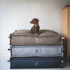 Picture of Cloud7 Στρώμα Cozy Fishbone Ash Grey (65x45x23cm)