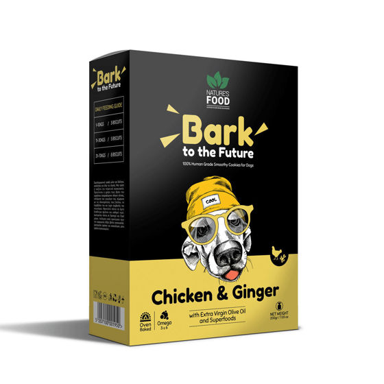 Picture of Nature`s Food Μπισκότα Chicken & Ginger 200gr