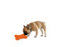 Picture of All For Paws Εκπαιδευτικό Παιχνίδι Σκύλου Bone Appetit Tasty Bone Lick Mat (20x14x1,5cm)